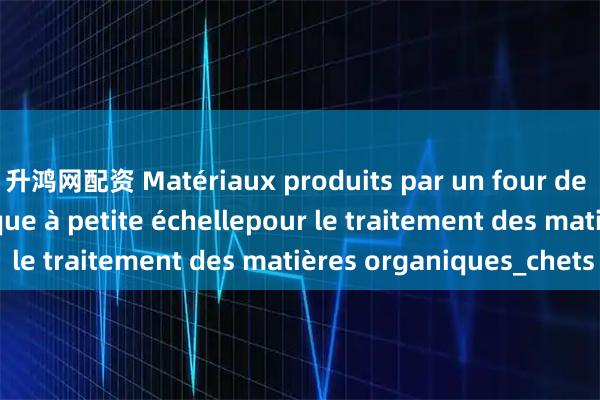 升鸿网配资 Matériaux produits par un four de pyrolyse magnétique à petite échellepour le traitement des matières organiques_chets