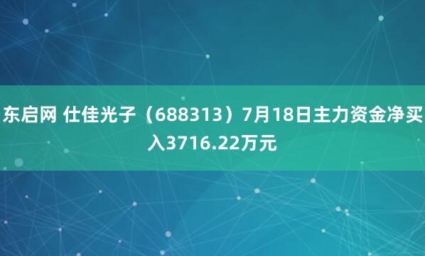 东启网 仕佳光子（688313）7月18日主力资金净买入3716.22万元
